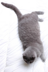 Similar image 11128925