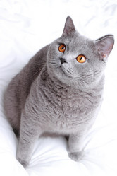 Similar image 11128929