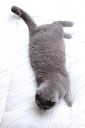 Similar image 11129308