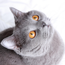 Similar image 11129312