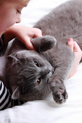 Similar image 11129357