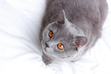 Similar image 11129360