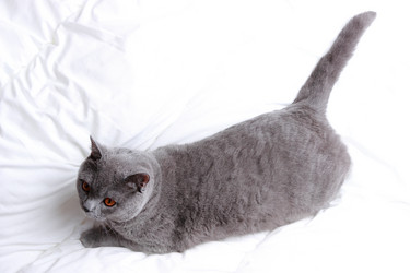 Similar image 11129572