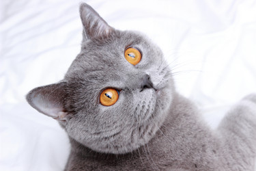 Similar image 11129574