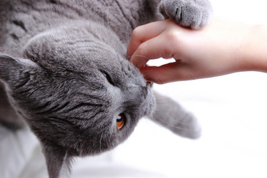 Similar image 11129657