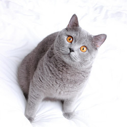 Similar image 11129659