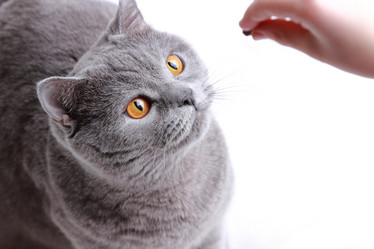 Similar image 11129660