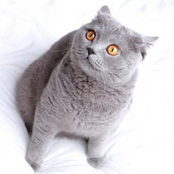 Similar image 11129847