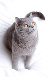 Similar image 11129848