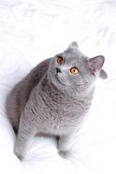 Similar image 11129850