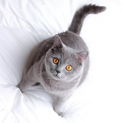 Similar image 11129908