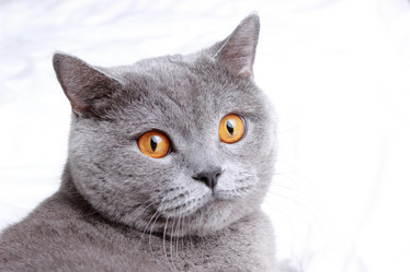 Similar image 11129936