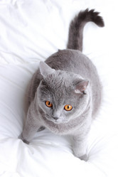 Similar image 11129938