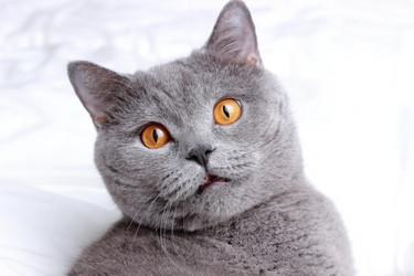 Similar image 11129940