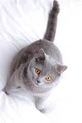 Similar image 11129942