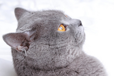 Similar image 11129944