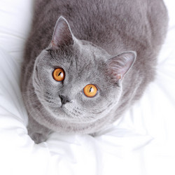 Similar image 11129946