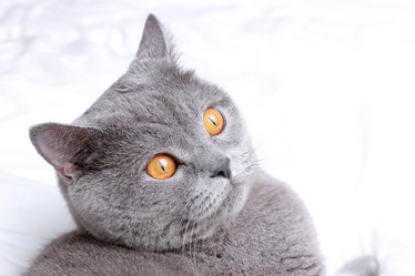 Similar image 11129975