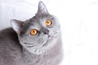 Similar image 11129979