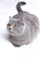 Similar image 11130142