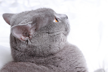 Similar image 11130148