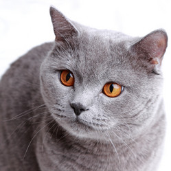 Similar image 11130187