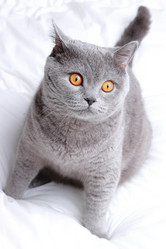 Similar image 11130531