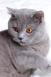 Similar image 11130738