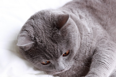 Similar image 11130741