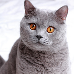 Similar image 11130742