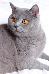 Similar image 11130781