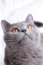 Similar image 11130784