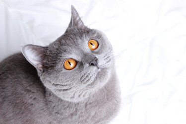 Similar image 11130818