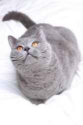 Similar image 11130820