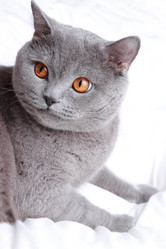 Similar image 11130824