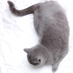 Similar image 11131051