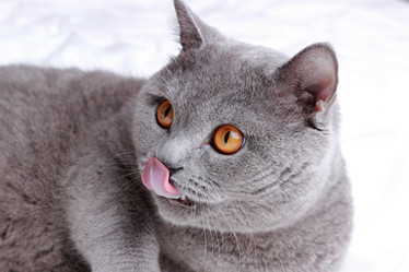 Similar image 11131106