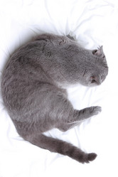 Similar image 11131146