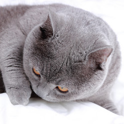 Similar image 11131147