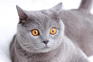 Similar image 11131150