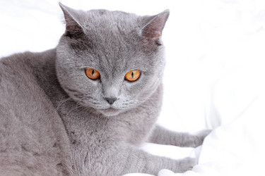 Similar image 11131152