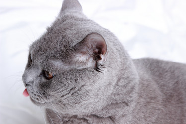 Similar image 11131336