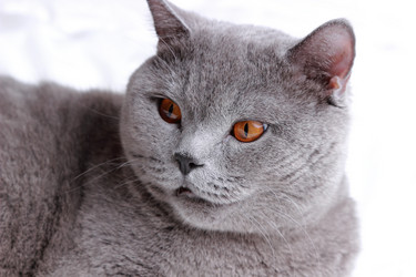 Similar image 11131338