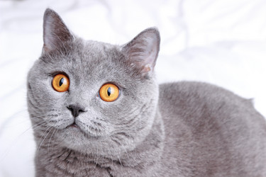 Similar image 11131340