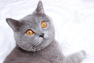 Similar image 11131342