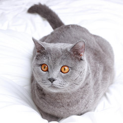 Similar image 11131602