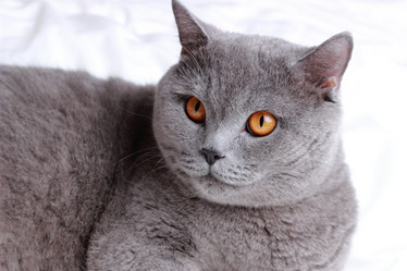 Similar image 11131604