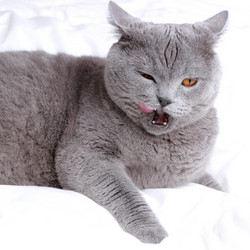 Similar image 11131608