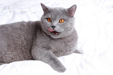 Similar image 11131610