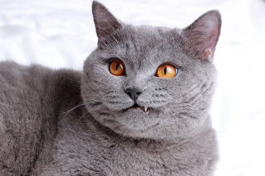 Similar image 11131612